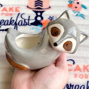NEW Raccoon ceramic succulent/airplant planter pot